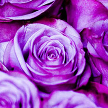 网页在线DDOS压力测试